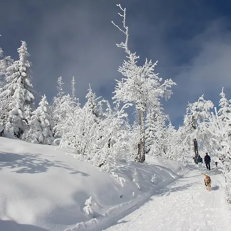 Haus Margarete & Karin Apartment *